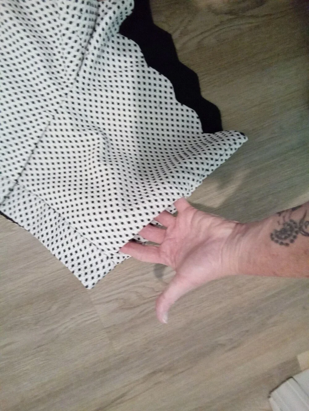 Elle Size 6 Women's White with Black Polka Dots Scallop Hem Dress Shorts